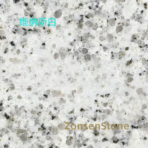 维纳斯白