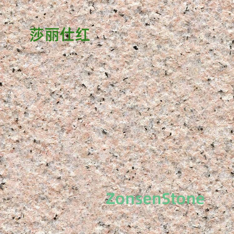 莎丽仕红