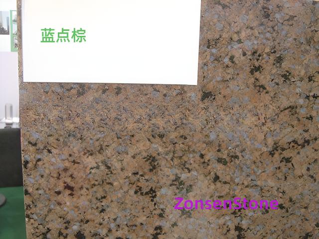 蓝点棕