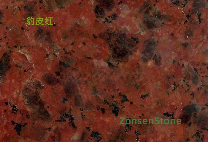 豹皮红