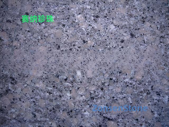 赛纳珍珠