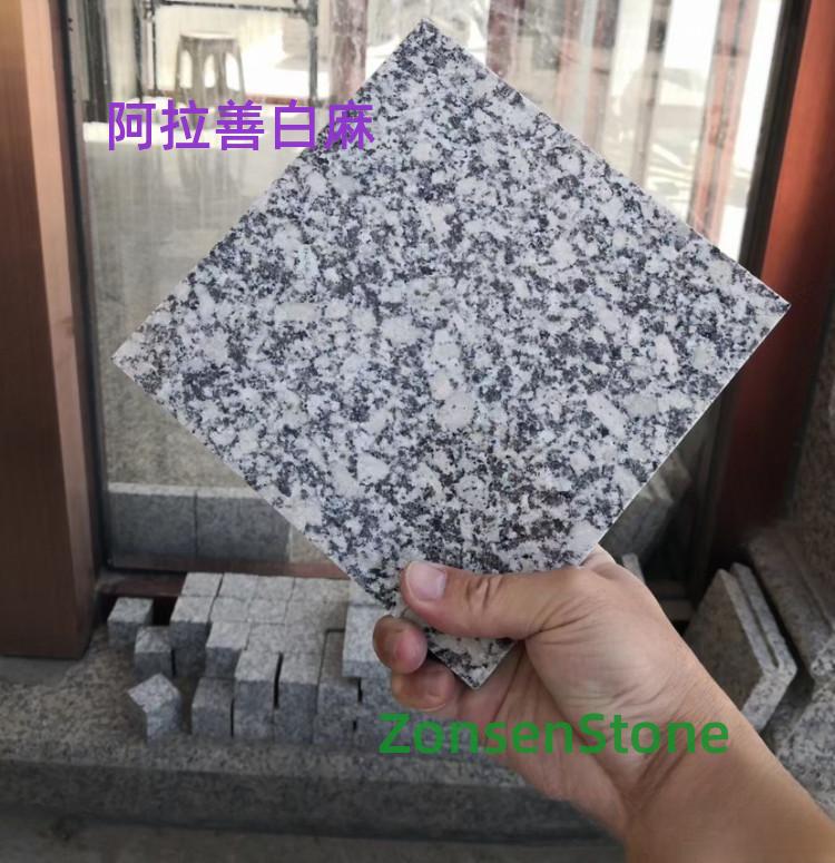 阿拉善白麻