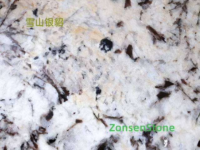 雪山银貂