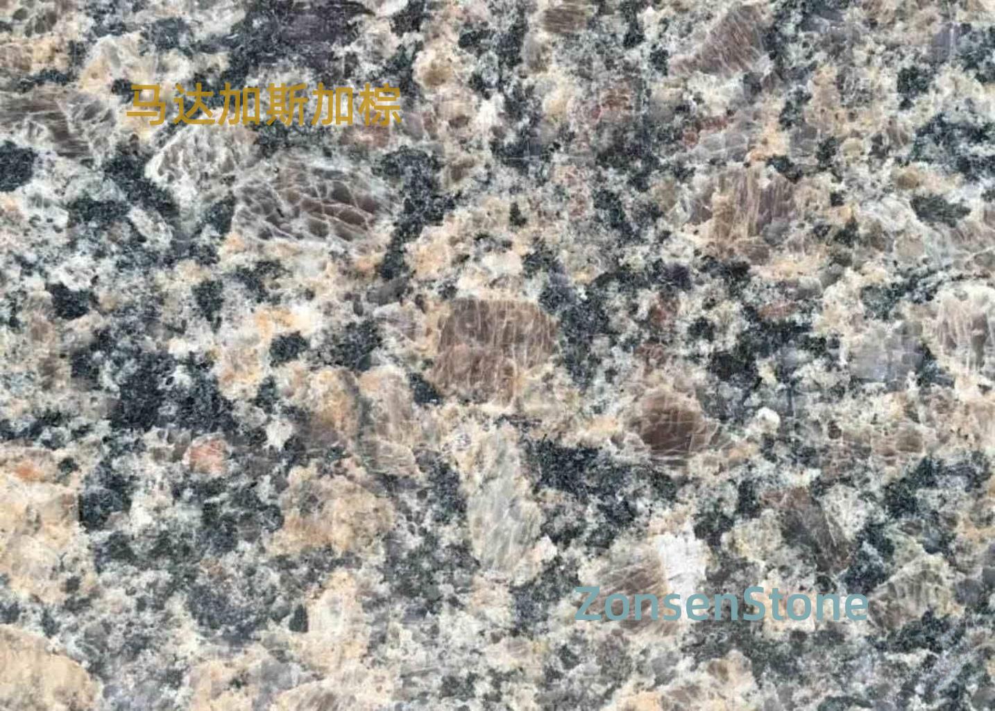 马达加斯加棕