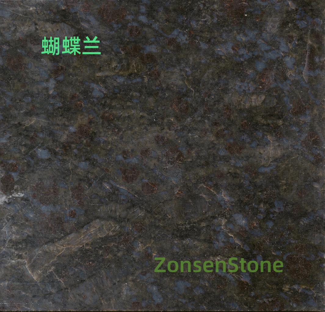 蝴蝶兰