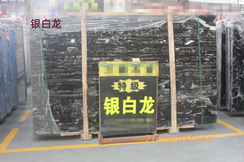 银白龙