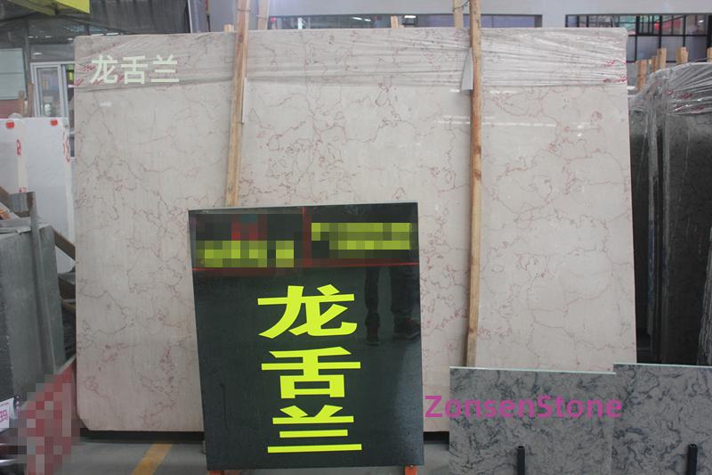 龙舌兰