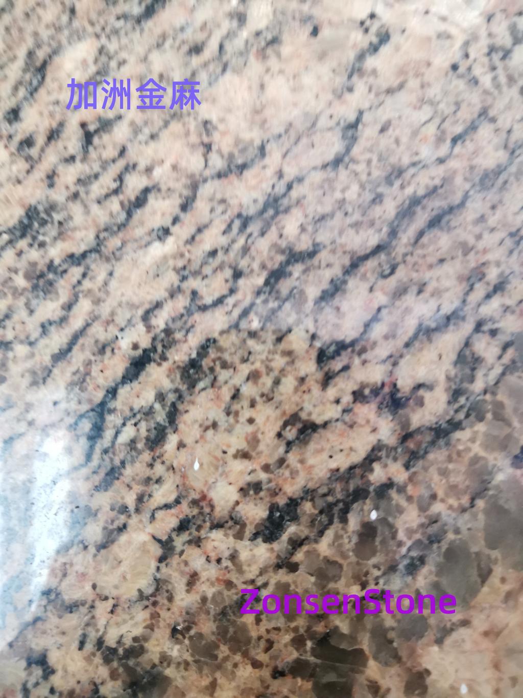 加洲金麻