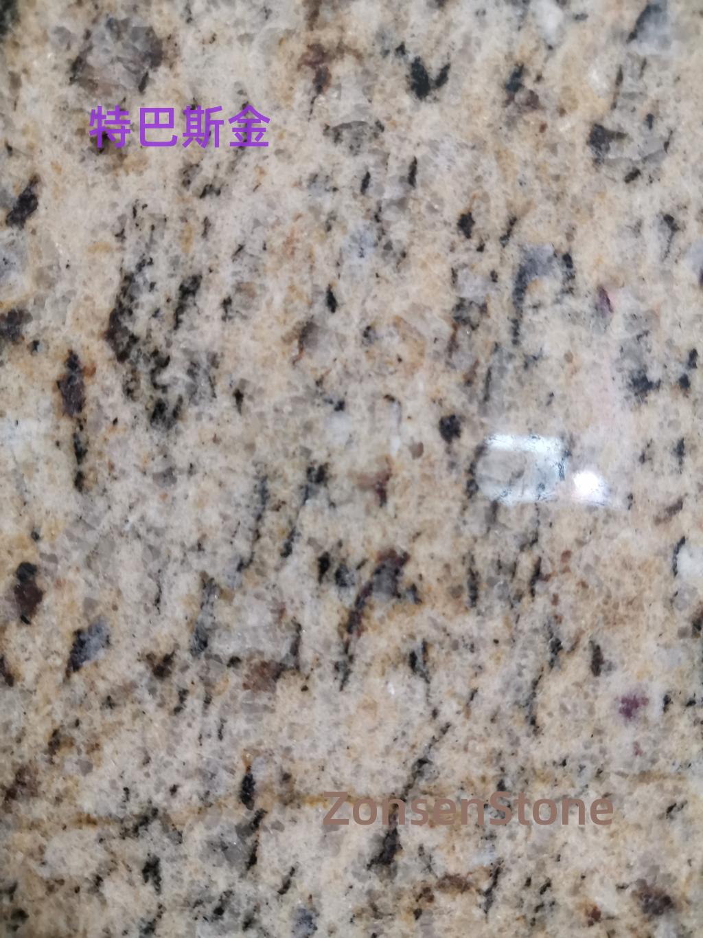 特巴斯金