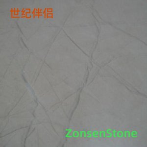世纪伴侣