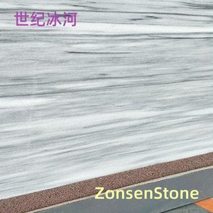 世纪冰河