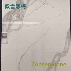 傲雪寒梅