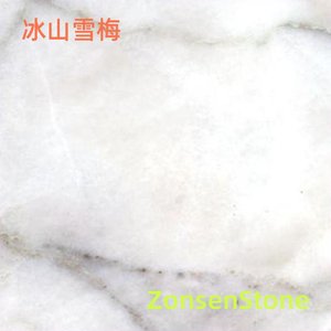 冰山雪梅