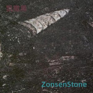 凯撒黑