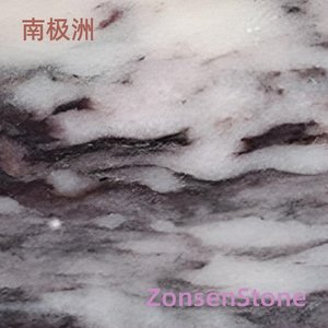 南极洲