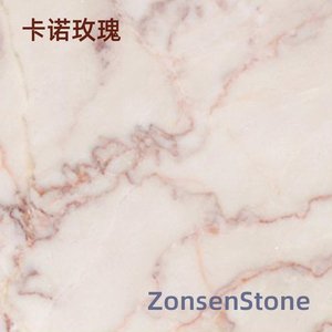 卡诺玫瑰