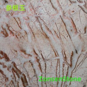参根玉