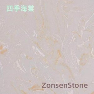 四季海棠