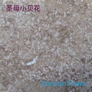 圣母小贝花