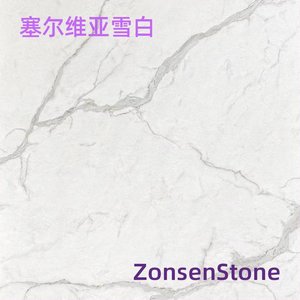 塞尔维亚雪白