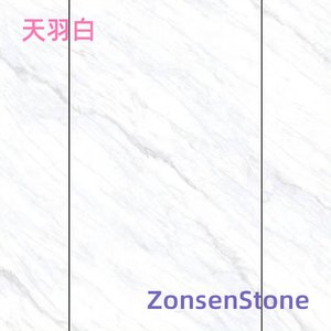天羽白