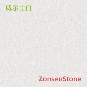 威尔士白