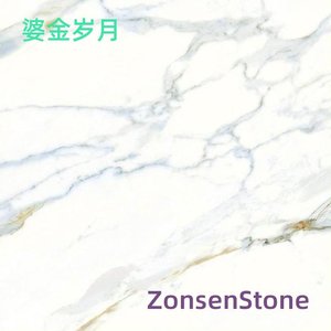 婆金岁月