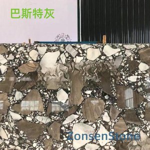 巴斯特灰