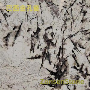 巴西金孔雀