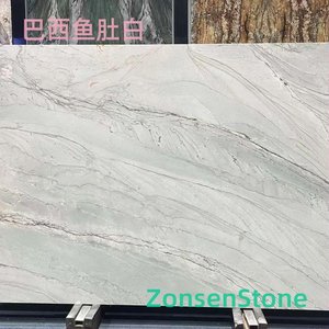 巴西鱼肚白