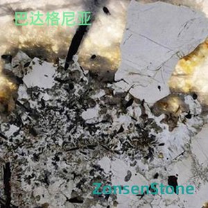 巴达格尼亚