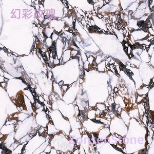 幻彩玫瑰