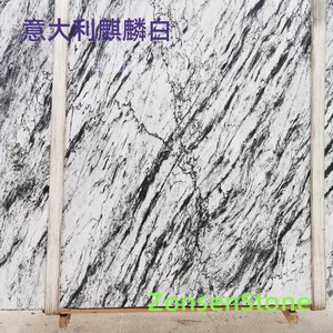 意大利麒麟白