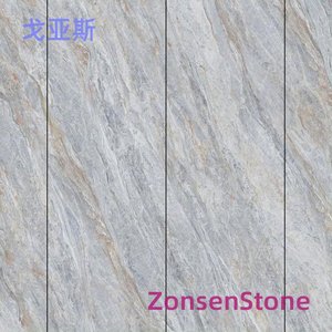 戈亚斯