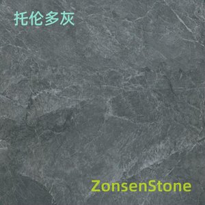 托伦多灰