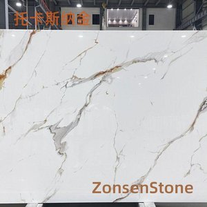 托卡斯纳金