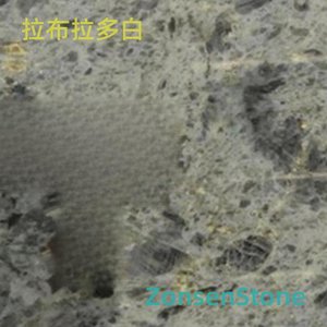 拉布拉多白