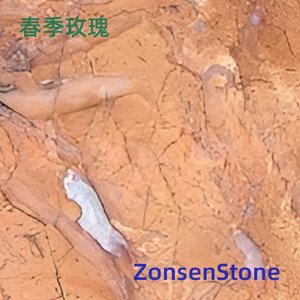 春季玫瑰
