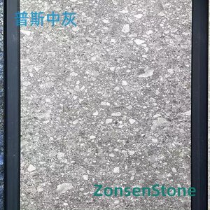 普斯中灰