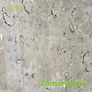 曲奇灰