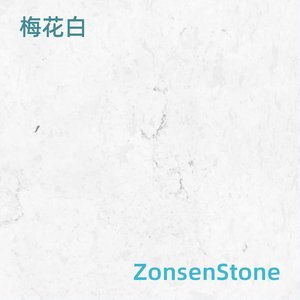 梅花白