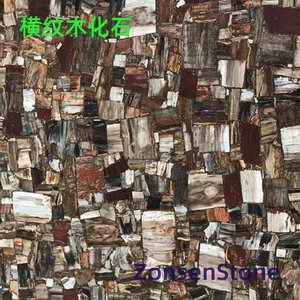 横纹木化石