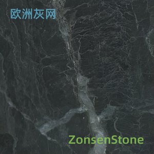 欧洲灰网