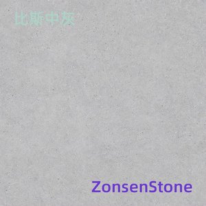 比斯中灰