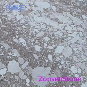 沙滩石