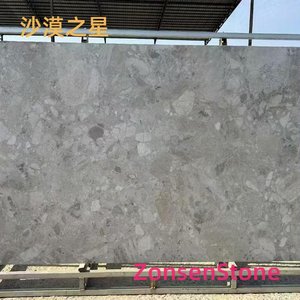 沙漠之星