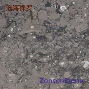 沧海株罗