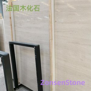 法国木化石