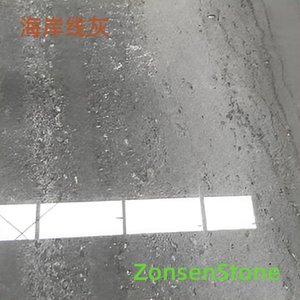 海岸线灰