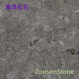 海洋化石